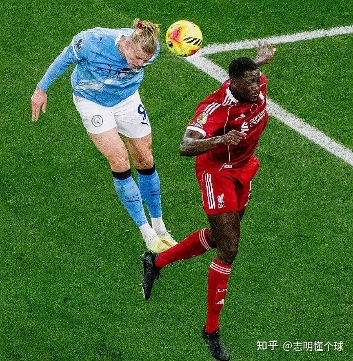 布鲁克林有棵树在线免费阅读